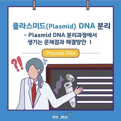 [플라스미드(Plasmid) DNA의 분리]Plasmid DNA 분리과정에서 생기는 문제점과 해결방안(TroubleShooting Guide) - I