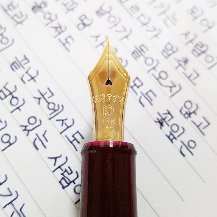  봄길 (플래티넘 센츄리 부르고뉴 ef닙)
