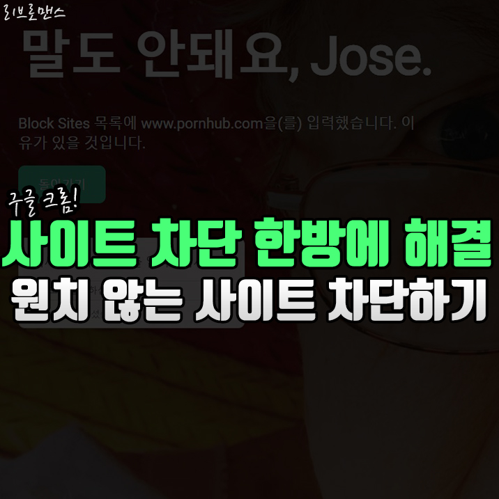  인터넷 사이트 차단 Blocksite로 한방에