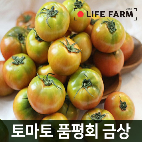 라이프팜 대저 짭짤이 토마토 2.5kg (3번~5번과), 단일상품 추천해요 라이프팜 대저 짭짤이 토마토 2.5kg (3번~5번과), 단일상품 추천해요