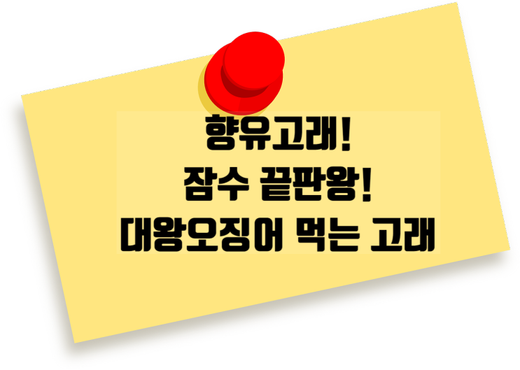 향유고래 최고 깊이까지 잠수하는 고래 포식자 대왕오징어먹는고래