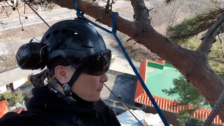  강화도 위험목 제거 2일차 트리클라이밍연구소