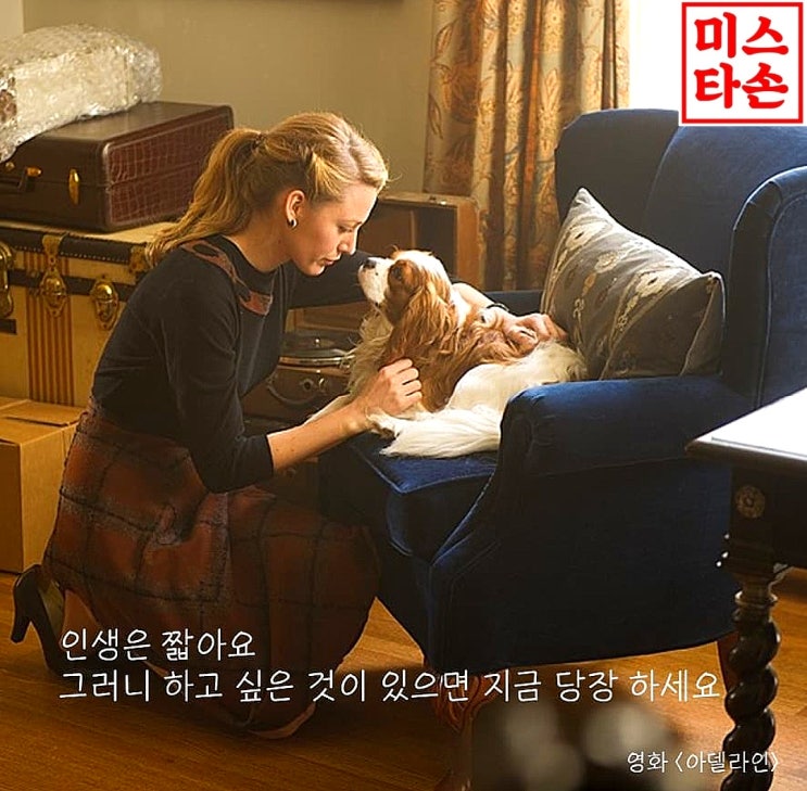  영화 (아델라인)