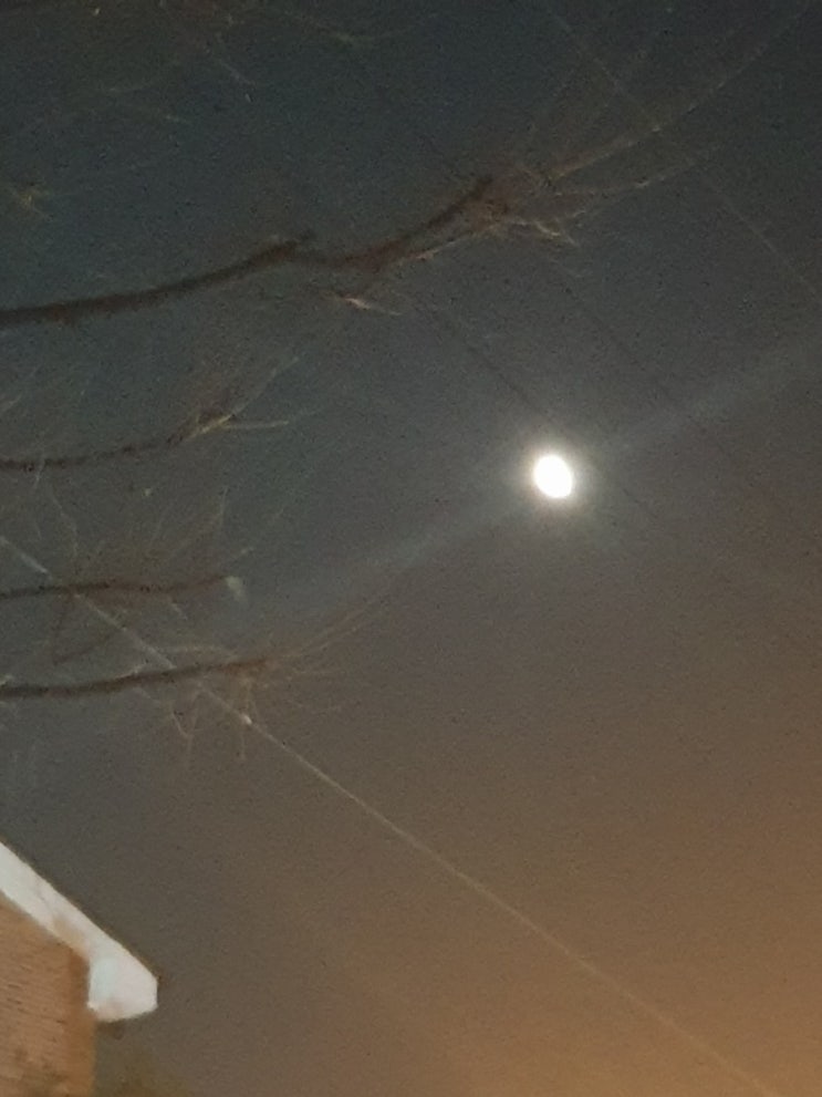  제주도 2박 3일 가는 길 반달?