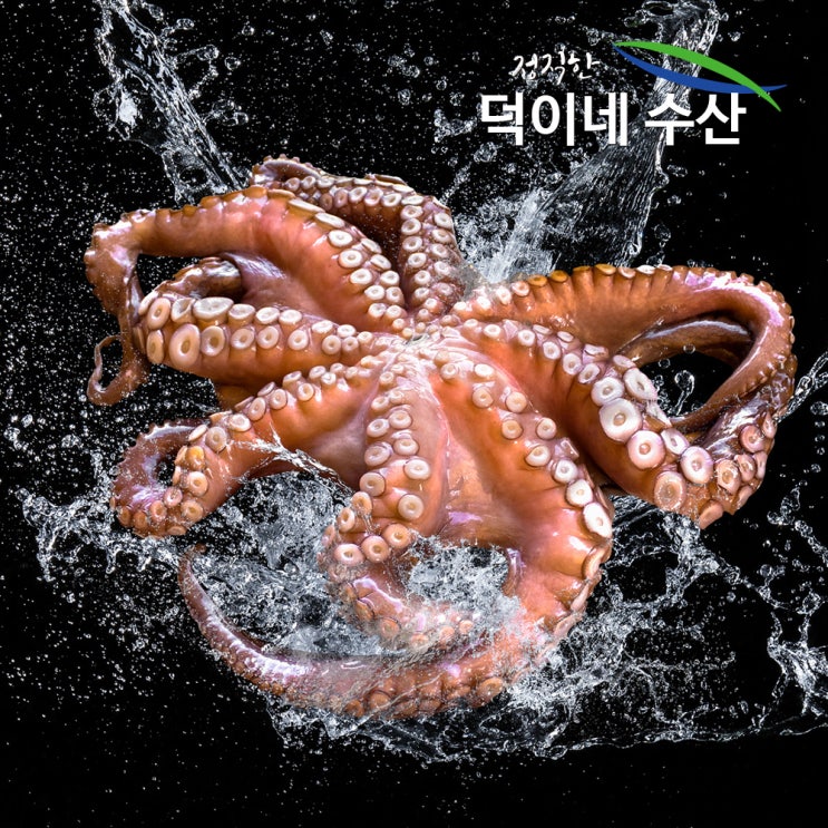 덕이네수산물 100% 국내산 남해안 싱싱 문어 500G 산지직송, 1개 추천해요