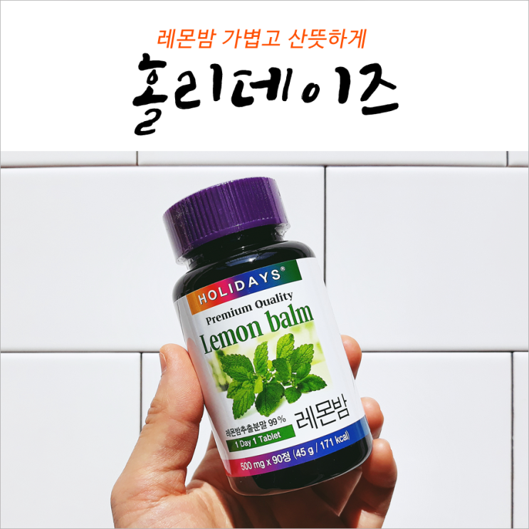  홀리데이즈 레몬밤 가볍고 산뜻하게