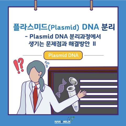 [플라스미드(Plasmid) DNA의 분리]Plasmid DNA 분리 과정에서 생기는 문제점과 해결방안(Troubleshooting Gude - II