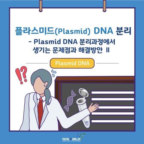  [플라스미드(Plasmid) DNA의 분리]Plasmid DNA 분리 과정에서 생기는 문제점과 해결방안(Troubleshooting Gude - II