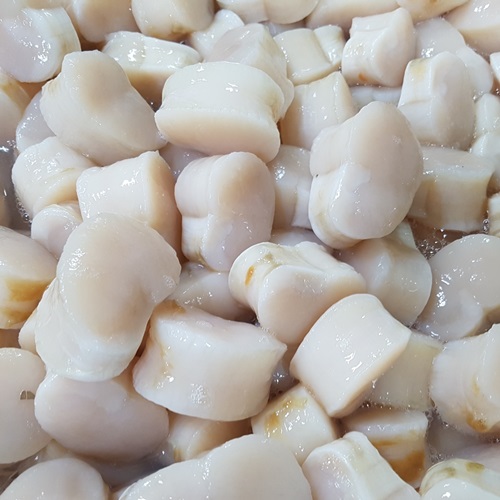 싱싱해몰 키조개 관자 1kg 국내산 생물, 1개 추천해요 싱싱해몰 키조개 관자 1kg 국내산 생물, 1개 추천해요
