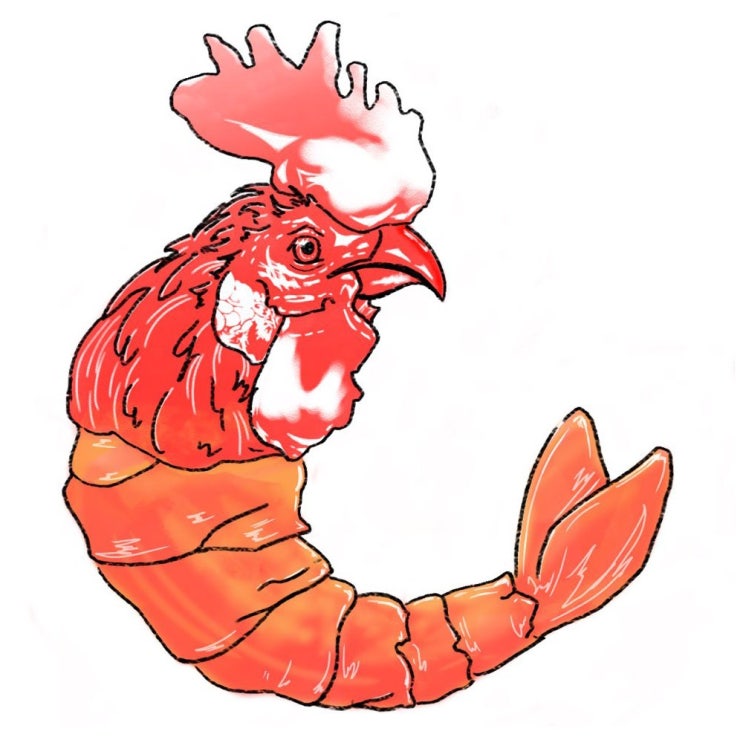 새우몰 닭새우 1kg 3월할인행사중, 1개 추천해요 새우몰 닭새우 1kg 3월할인행사중, 1개 추천해요