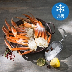  킹크랩섹션