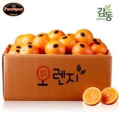  감귤