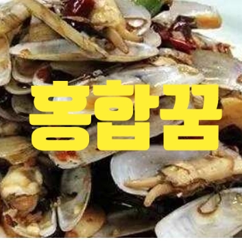  홍합꿈,홍합꿈해몽 길몽이 많아요