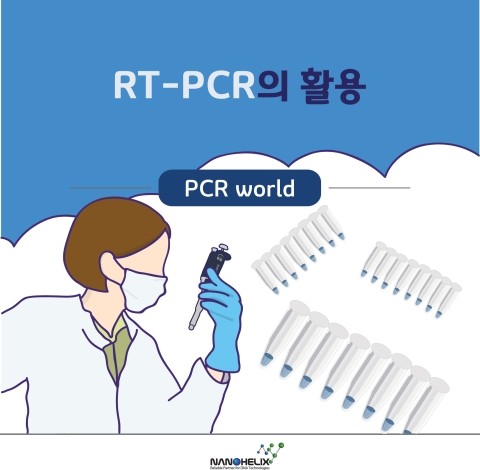  RT-PCR의 활용