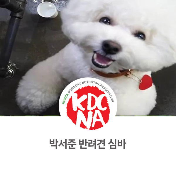  [연예인 강아지편] 박서준 반려견 심바 이야기_04
