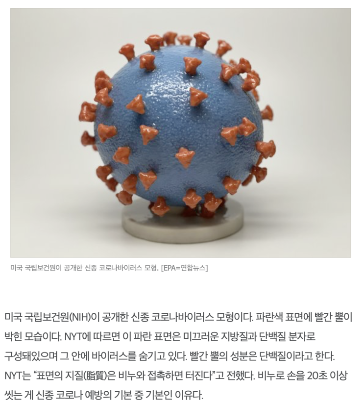  COVID19(스파이크 단백질), 바이러스 예방법, 비누 손씻기