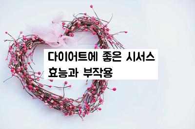  시서스다이어트 효능과 부작용