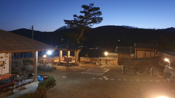  밤의 천사