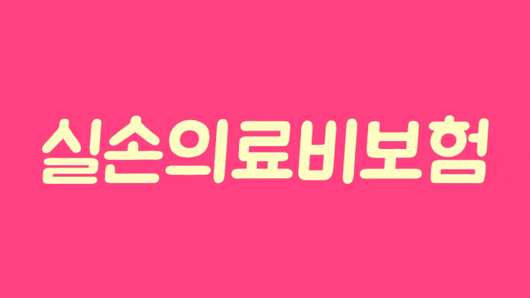  보험전문가 미스타손-실손의료비보험
