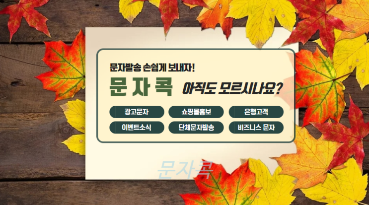  대량문자 문자콕만한데 없어요!