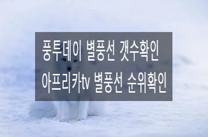 풍투데이 아프리카 BJ 별풍선 순위 확인 사이트