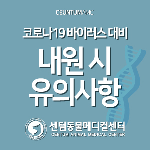  코로나19 바이러스 대비 동물병원 내원 시 유의사항 (센텀동물메디컬센터)