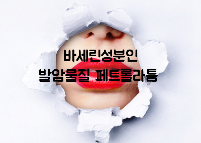  [화장품성분] 바세린성분 발암물질 페트롤라툼