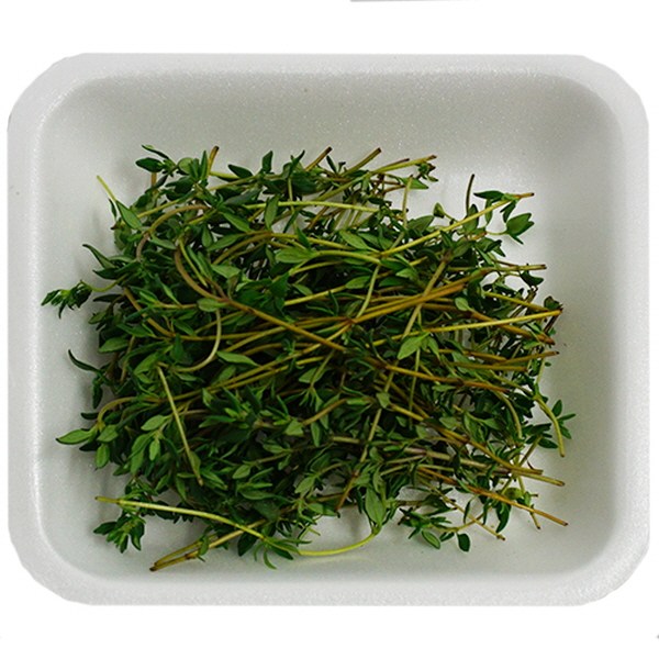 (신선) 타임 허브 100g 이스라엘산 time herb, 단일상품 추천해요 (신선) 타임 허브 100g 이스라엘산 time herb, 단일상품 추천해요