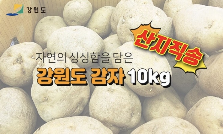 [구매링크] 구매대란 강원도 감자 10kg 5000원, 구매 방법, 서버시간
