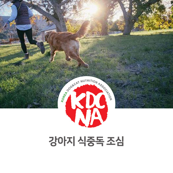  [반려인이 알아야 할 필수 정보] 강아지 식중독 예방과 대처_142