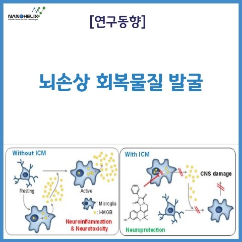  [연구동향] 뇌손상 회복물질 발굴