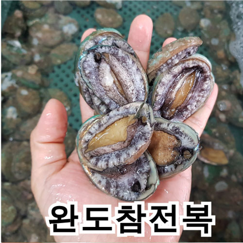 남도전복 전복, B 1kg(총40~80마리), 1box 추천해요