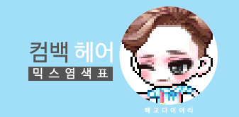  [KMS 캐시] 메이플스토리 컴백 헤어 믹스염색표(믹염)_뽀송 Ver.