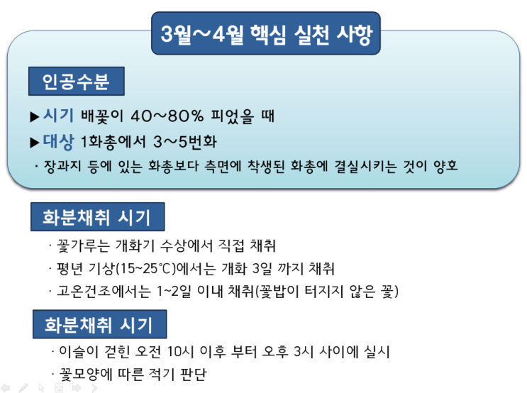 3월 감이농장 영농일지