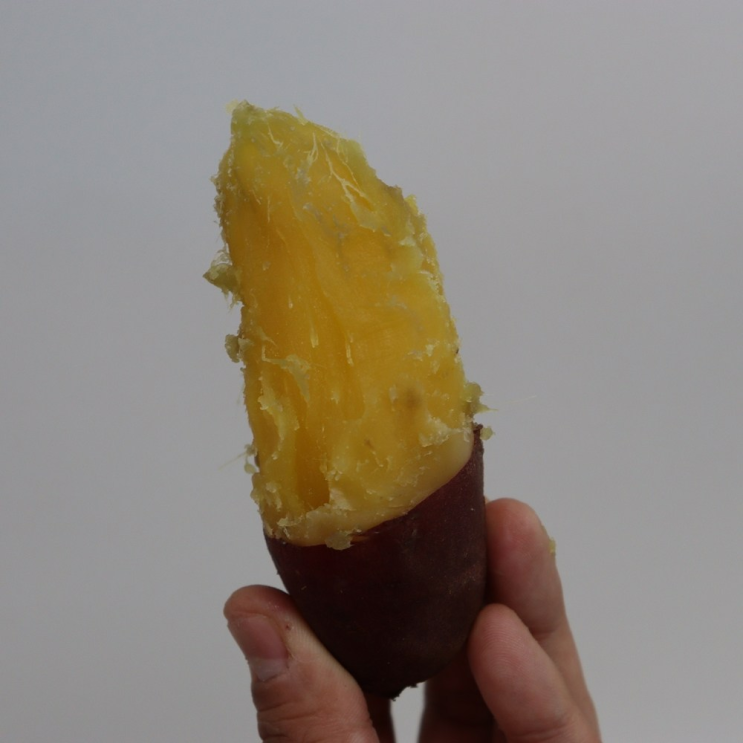  강원도 감자 10kg 제품 리뷰참조해봐요
