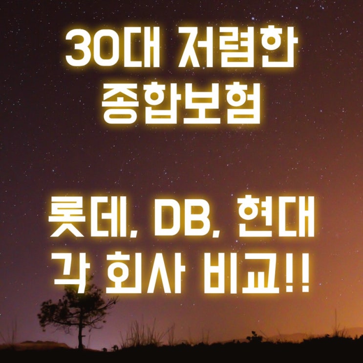  30대 저렴한 종합보험 알아보기 롯데/DB/현대 각 회사 상품비교
