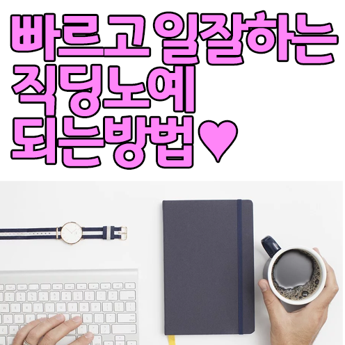  일잘하는 노예가되는법 로지텍 K580 , k780 부터 mk470 비교