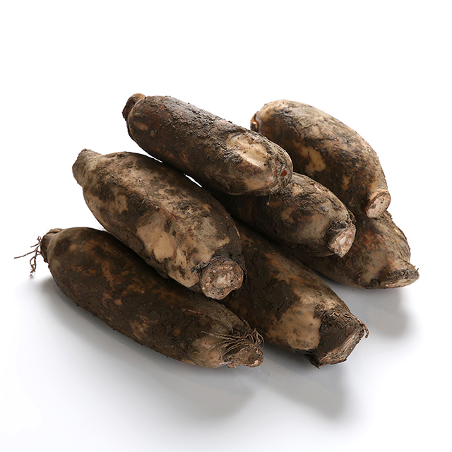 한뿌리 흙연근 (중)1kg/2kg, (중)1kg 추천해요 한뿌리 흙연근 (중)1kg/2kg, (중)1kg 추천해요
