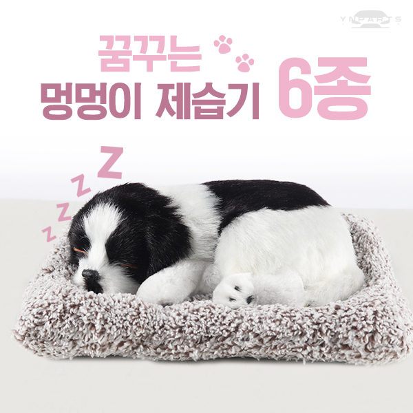  [핫딜세일] 메이튼 차량용 강아지 탈취제 흰색냥이 확인해볼까요?