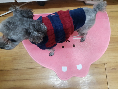  다이소 발매트 귀여워 귀여워
