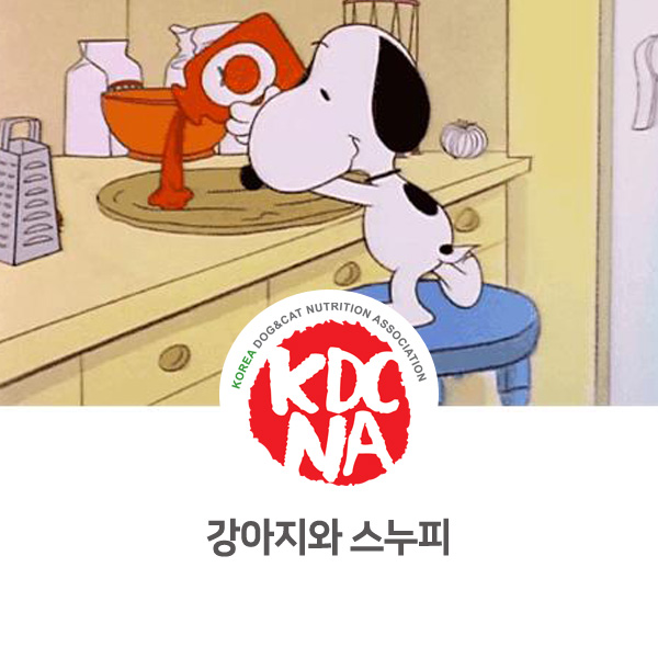 [반려동물 정보 뉴스] 스누피와 강아지_38