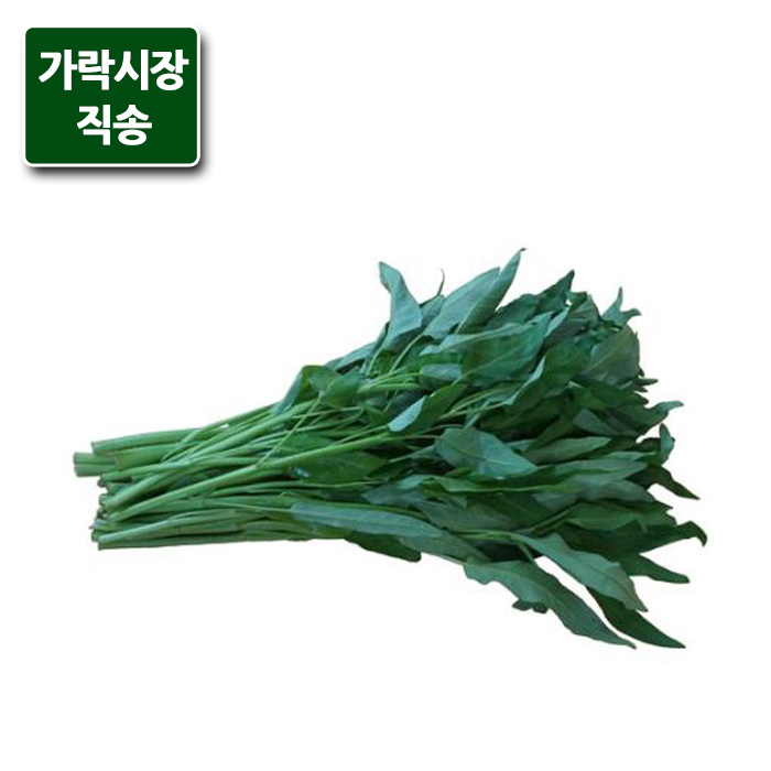 가락시장직송 공심채(모닝글로리) 300g, 단품 추천해요