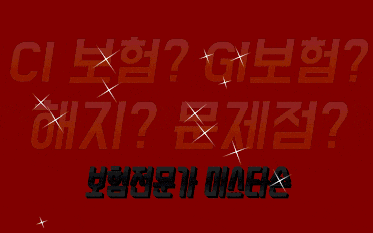 보험전문가 미스타손-CI보험?GI보험?종신보험?해지?문제점 확인 분석