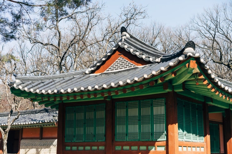 전주 한옥마을 직접 가보니 좋아요