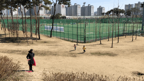 봄기운이 느껴졌던 청수호수공원 / 꽃이 피기 시작하는 천안축구센터