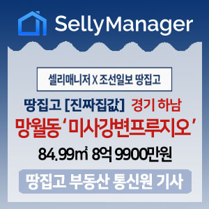  땅집고 [진짜 집값] 경기 하남시 미사강변푸르지오 전용 84.99 8억9900만원