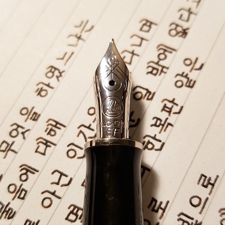  그동안 무엇을 하였느냐 (펠리칸 M405 슈트레제만 ef닙)