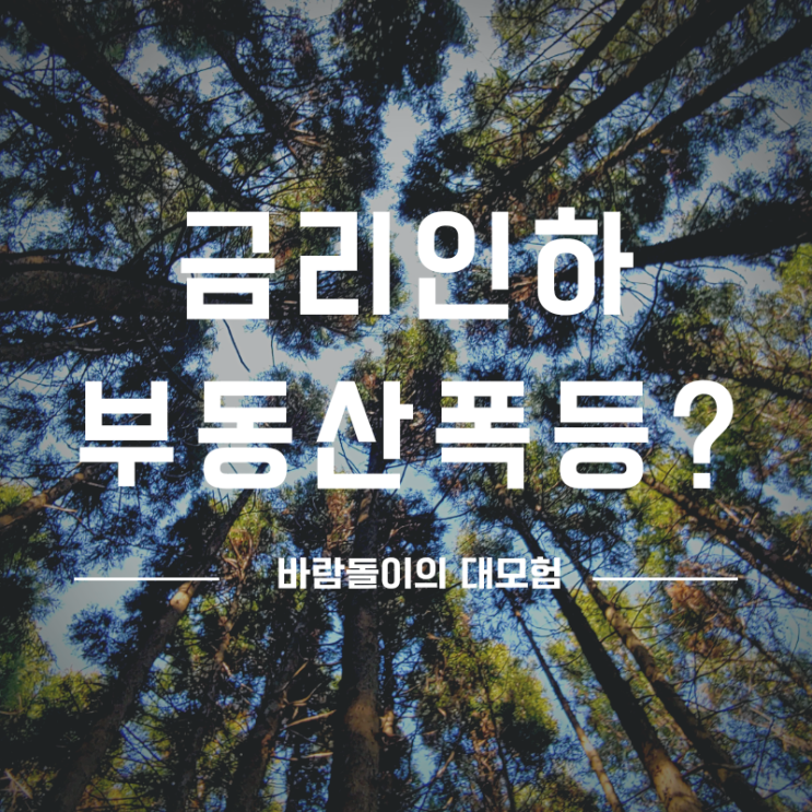  코로나 미국금리인하와 부동산 폭등?