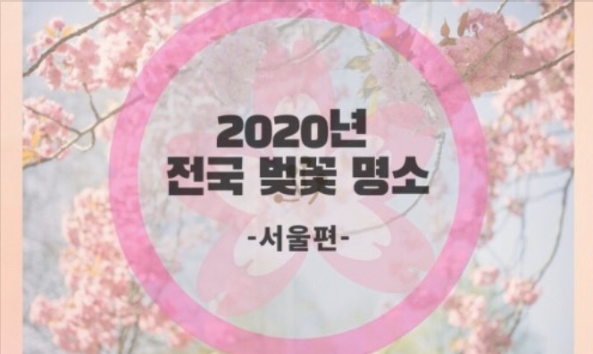 2020년 서울 벚꽃 놀이 명소는 어디?? 탑7