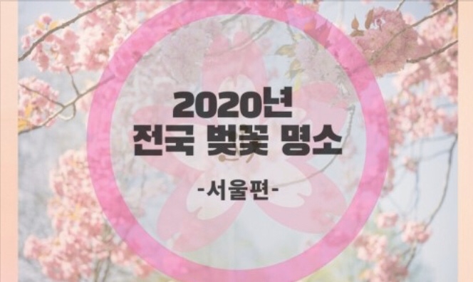  2020년 서울 벚꽃 놀이 명소는 어디?? 탑7